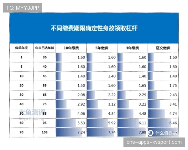世界篮球联赛外援流动性研究报告，篮球比赛外援是什么意思