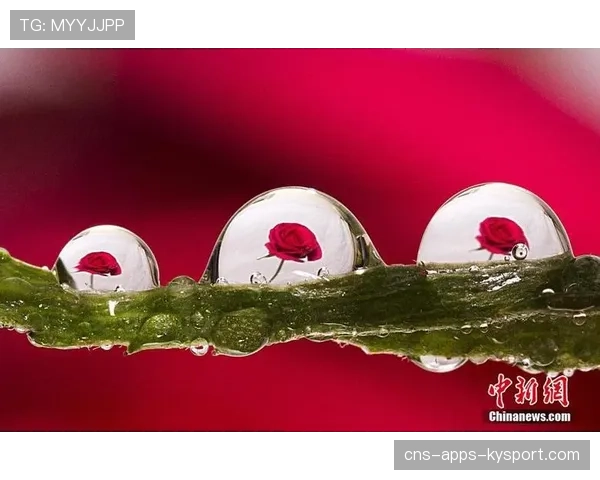 斯维亚特克强势挺进下一轮,她在红土上的滑步被专家赞为“流动的艺术”。 斯维亚特克强势挺进下一轮,她在红土上的滑步被专家赞为“流动的艺术”。
